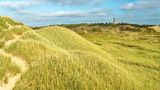 Dünenlandschaft im Nationalpark Thy mit Leuchtturm im Hintergrund