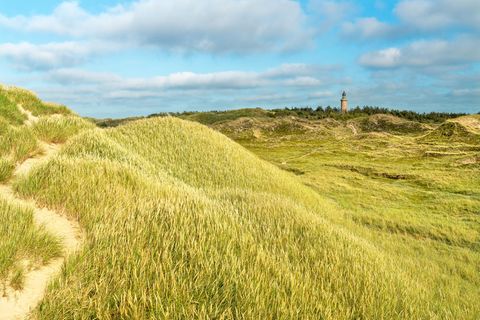 Dünenlandschaft im Nationalpark Thy mit Leuchtturm im Hintergrund