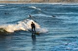 Surfer auf den Wellen von Cold Hawaii, Thy Nationalpark