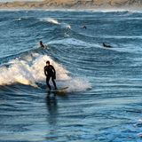 Surfer auf den Wellen von Cold Hawaii, Thy Nationalpark