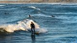 Surfer auf den Wellen von Cold Hawaii, Thy Nationalpark
