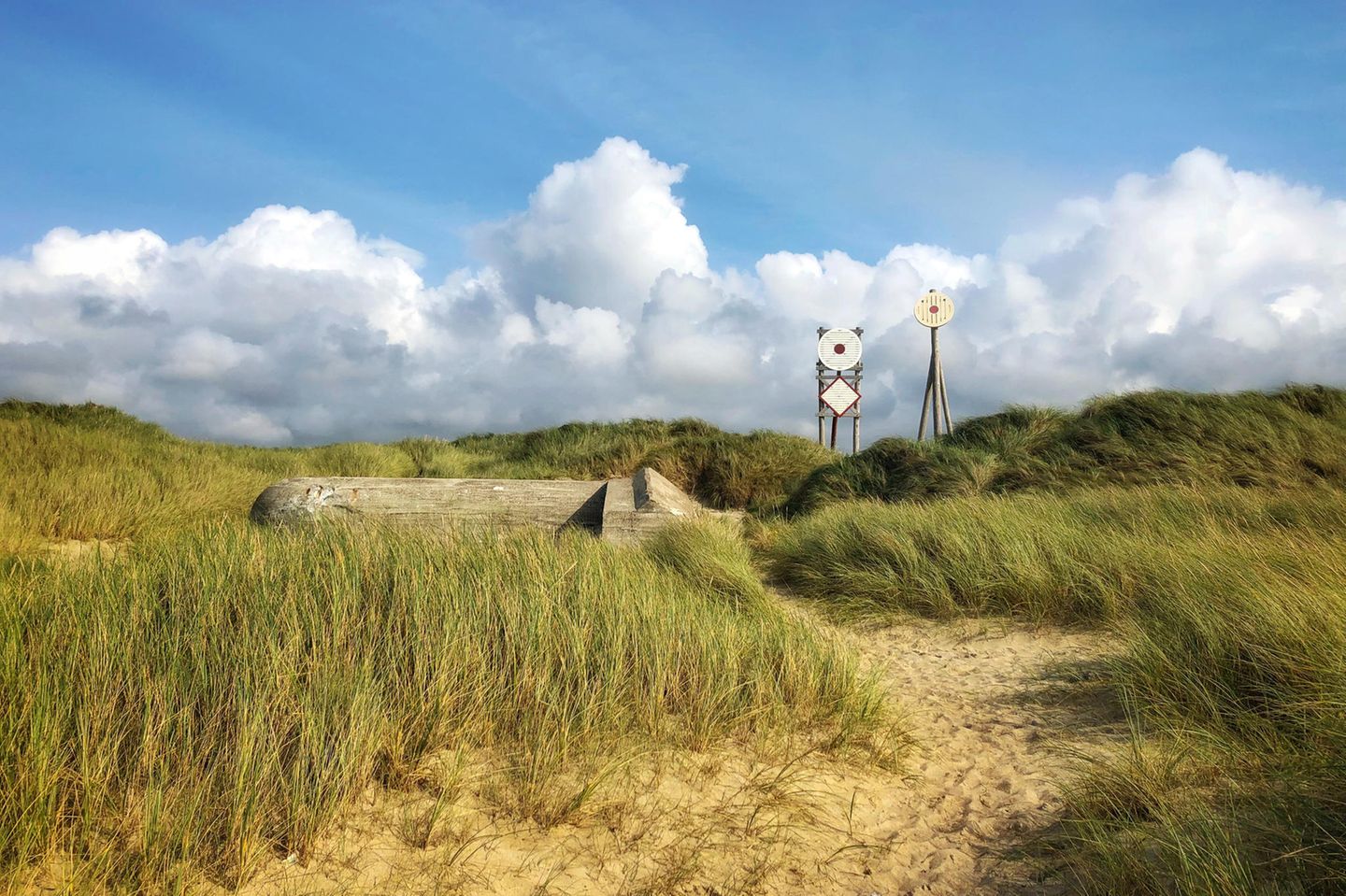 Dünenlandschaft mit Holzskulptur im Nationalpark Thy