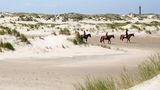 Drei Reiterinnen auf Pferde in den Dünen von Thy