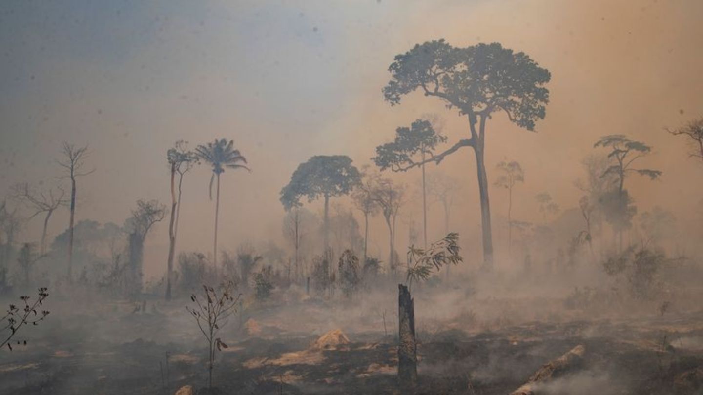 Rauch steigt während eines Brandes im Amazonas-Gebiet auf