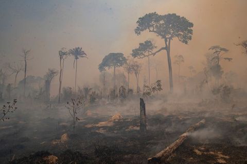 Rauch steigt während eines Brandes im Amazonas-Gebiet auf