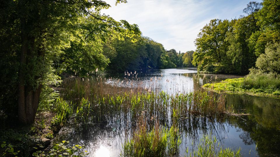 Hubertussee (Berlin-Grunewald) in der Abendstimmung Hubertussee (Berlin-Grunewald) in der Abendstimmung