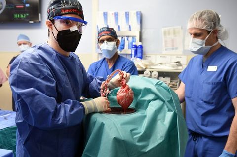Patient mit transplantiertem Schweineherz
