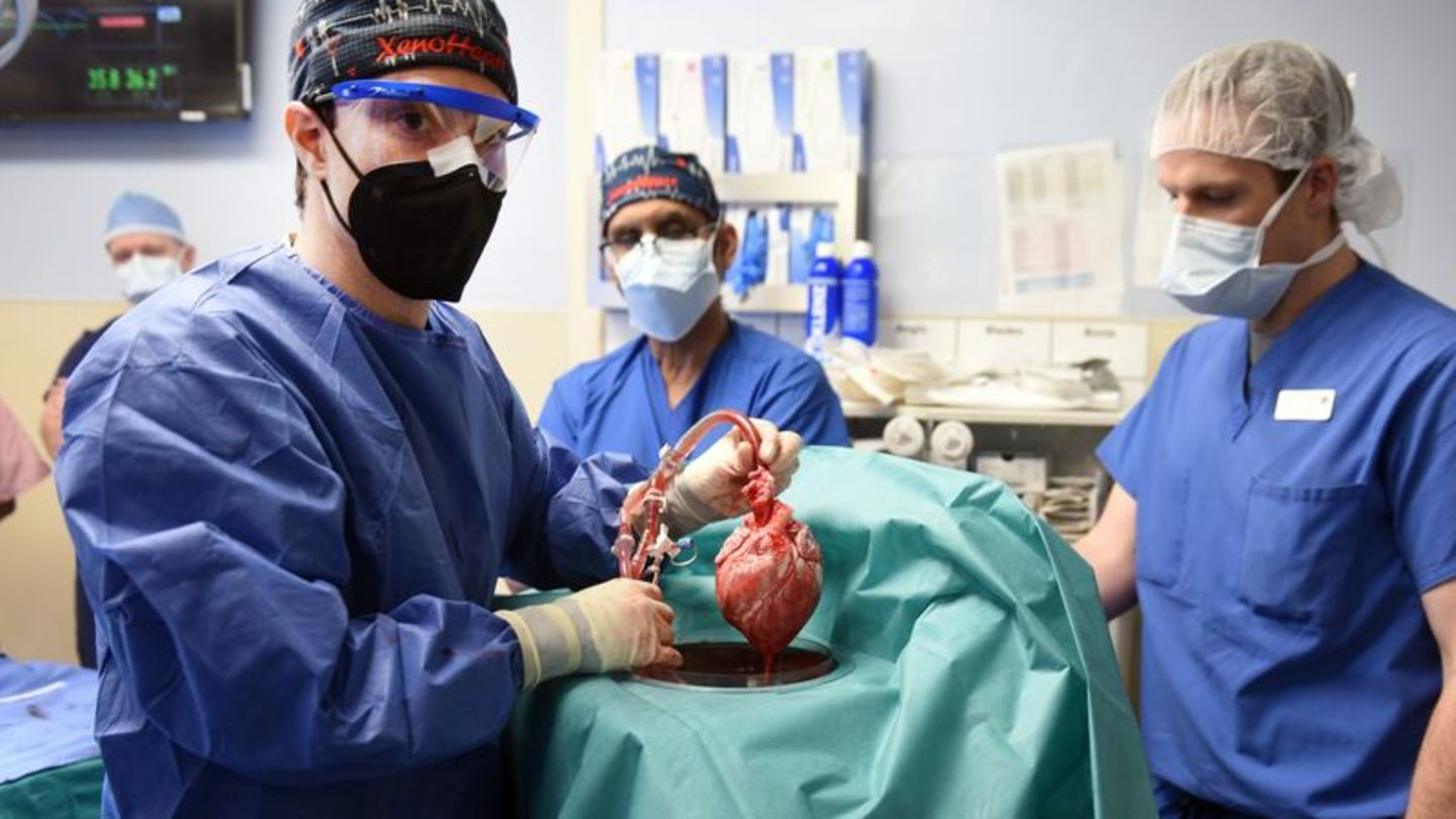 Patient mit transplantiertem Schweineherz