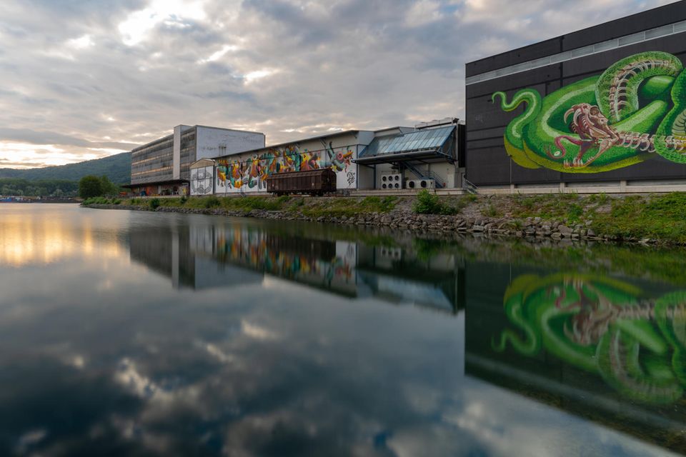 Blick auf die Graffitis im Linzer Hafen