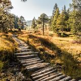 Hochmoor im Entlebuch, Schweiz