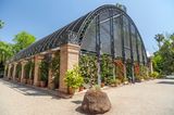 Gewächshaus im Botanischen Garten von Valencia