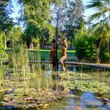 Teich im Jardines del Real in Valencia