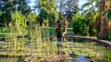 Teich im Jardines del Real in Valencia