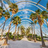 Palmengesäumter Weg in einem modernen Parl in Valencia