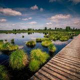 14.03.2022      "Das Hohe Venn ist eines der letzten Hochmoore Europas. Auf Pfaden und Holzstegen kannst man diese eindrucksvolle Naturschönheit erkunden. Auf den Wasserflächen spiegelt sich der weite Himmel - der dort nicht immer so schön blau ist. Schließlich ist dieses Gebiet nicht umsonst ein Moorgebiet... ."      Kamera: Canon 5D Mark III ISO 100 F/11 1/125 Sek. 16mm Brennweite  Mehr Fotos von Britta Hilpert