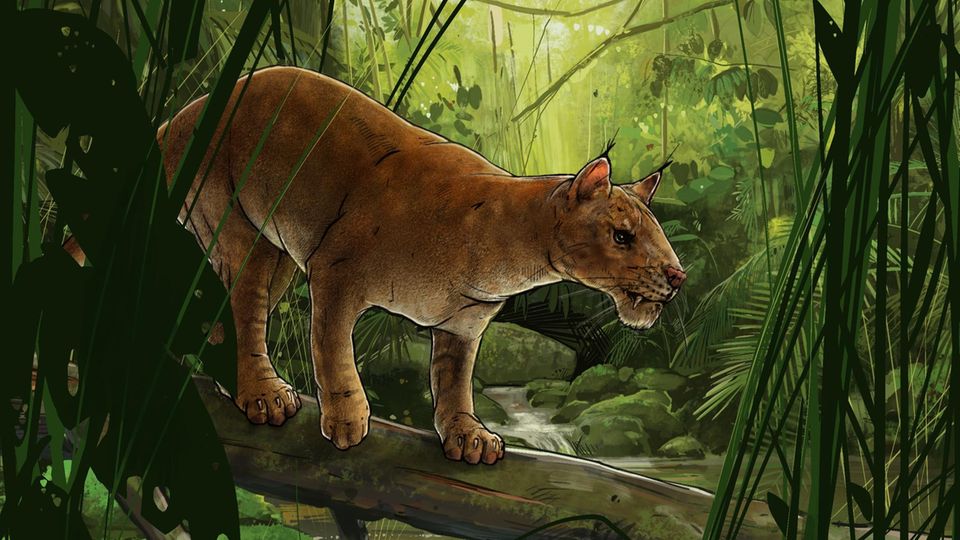 So könnte Diegoaelurus vanvalkenburghae ausgesehen haben