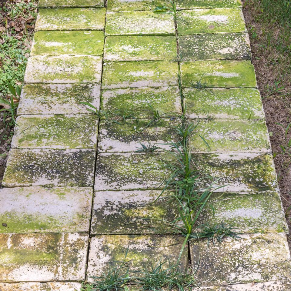 Grünbelag entfernen auf Steinen im Garten