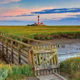 Alle lieben die Dünen und stürmen, wenn am Meer, schnell durch die umliegenden Salzwiesen bis zur Wasserkannte. Dabei sind die Salzwiesen ein wahrer Ort für Entdecker – eine lebhafte Zwischenwelt. Mehrmals im Jahr werden sie geflutet und bieten so einer ganz anderen Flora ein zuhause, wie die gängigen Wiesen im Hinterland. Strandwermut, Schuppenmiere, Grasnelke oder Stranddistel gedeihen hier und blühen in frischen Farben. Wer mehr über dieses Biotop, das weder so richtig zum Meer noch zum Land gehört, erfahren möchte, schließt sich ab dem Meldorfer Hafen einer geführten Salzwiesenwanderung zur Hallig Helmsand an.  https://watterleben.de/speicherkoog.html