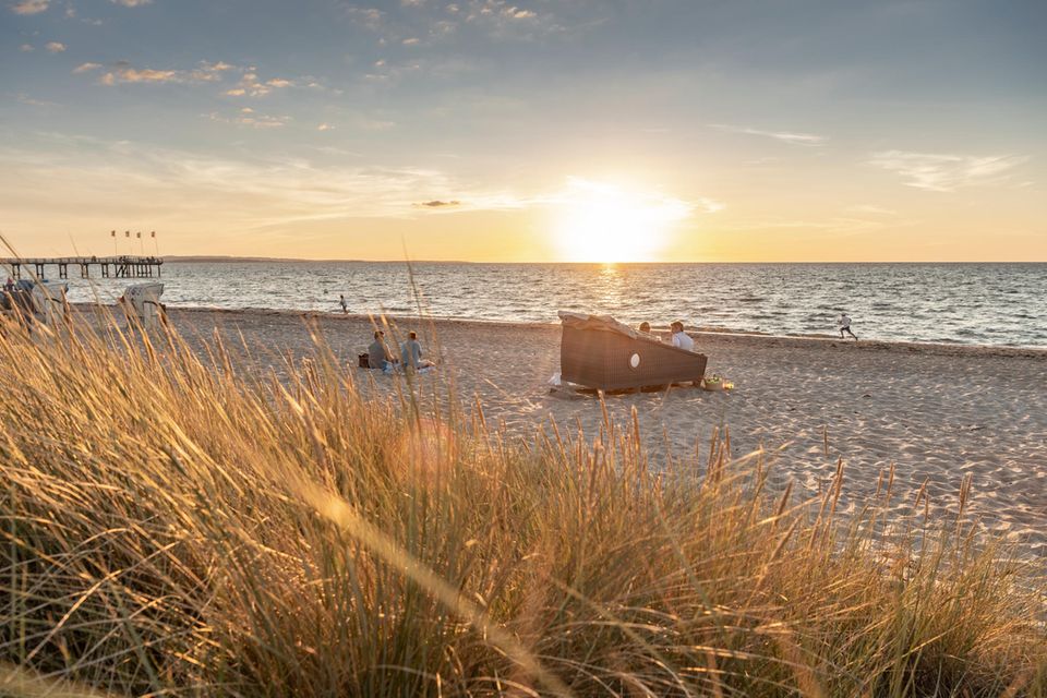 Zum Sound der Wellen einschlafen und durch die Schreie der Möwen am nächsten Morgen wieder aufwachen – so klingt die perfekte Nacht am Meer. Wer vom Bett aus dann noch direkt Sand unter den Füßen haben möchte, der nächtigt am besten direkt im Strandkorb. Die speziell gefertigten Schlafstrandkörbe sind inzwischen vielerorts an der deutschen Küste zu finden. So zum Beispiel in Schillig oder Otterndorf an der Nordsee. Auch an der Ostsee sind die Schlafstrandkörbe zu finden, beispielsweise in Grömitz oder auf Fehmarn.  https://www.ostsee-schleswig-holstein.de/strandschlafen-ostsee.html
