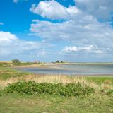 Neuland im Naturschutzgebiet Graswarder
