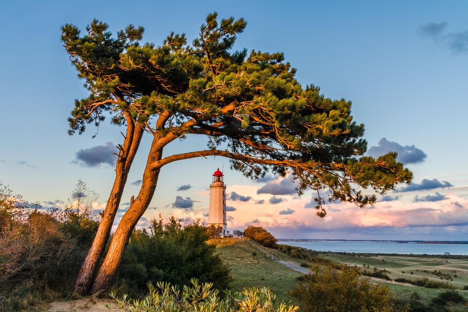 Leuchtturm Dornbusch am Abend auf der Insel Hiddensee