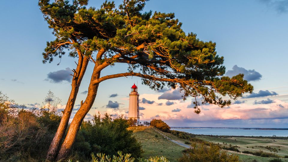 Leuchtturm Dornbusch am Abend auf der Insel Hiddensee