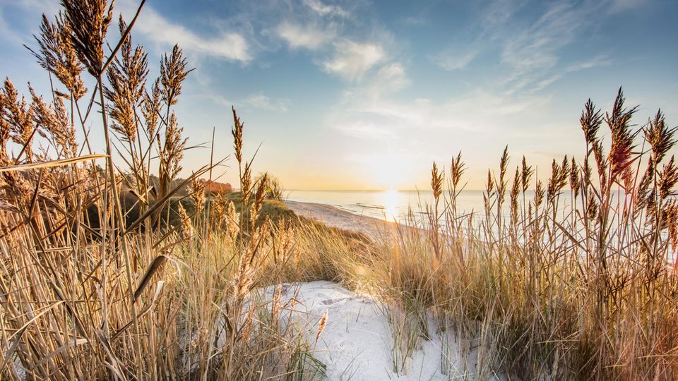 Dünen und Strand auf der Insel Hiddensee bei Sonnenuntergang