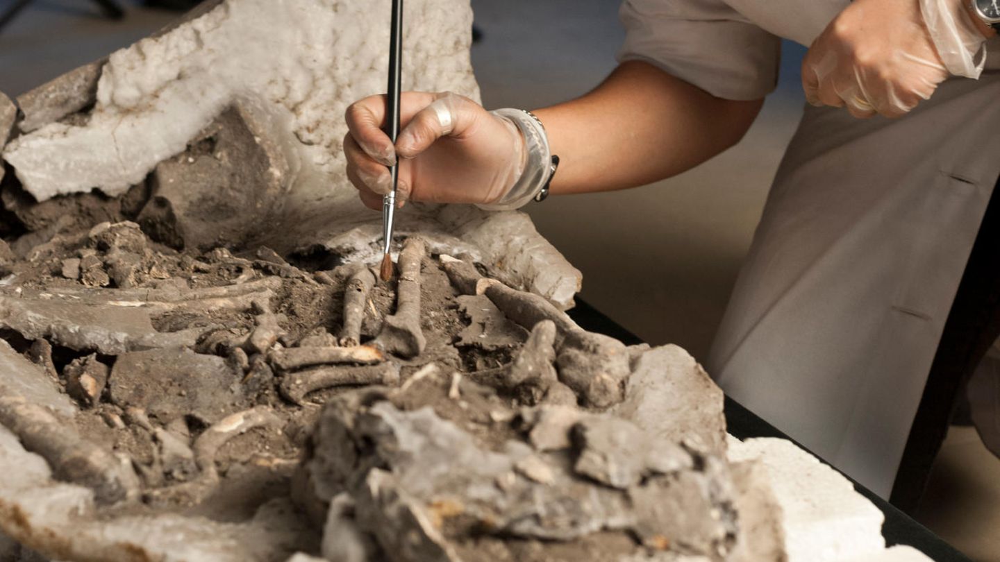 Die Archäologin Rita Peyroteo Stjerna bei der Arbeit an einem der Skelette aus dem Sado-Tal