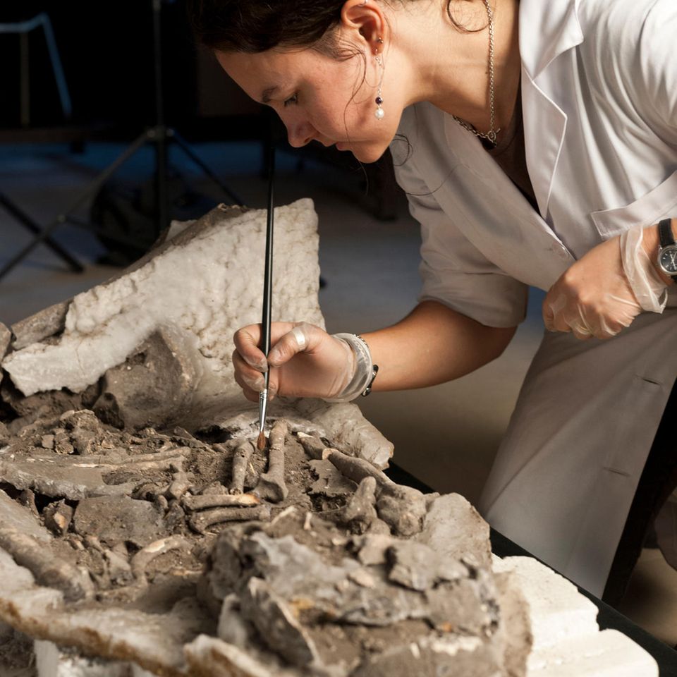 Die Archäologin Rita Peyroteo Stjerna bei der Arbeit an einem der Skelette aus dem Sado-Tal