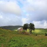 Blick auf die kleine Schutzhütte Staioneag