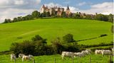 Blick auf das Châteauneuf-en-Auxois mit Kühen im Vordergrund