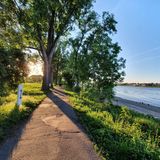 Radweg am Rhein bei Bonn