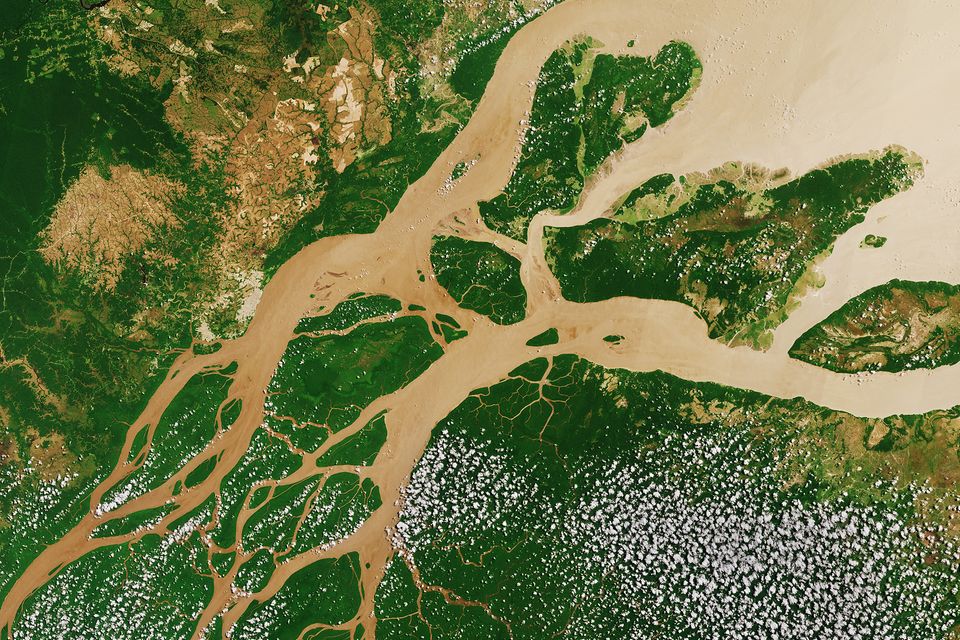 Schlammige Fluten: ein Satellitenbild des Amazonas-Deltas  © contains modified Copernicus Sentinel data (2017), processed by ESA, CC BY-SA 3.0 IGO