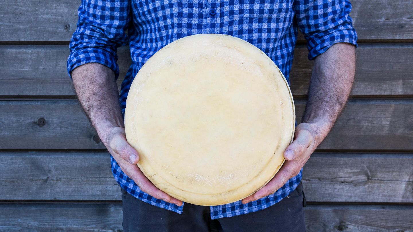 Oberallgäu - So ein Käse! Käsen ist eine rührende Angelegenheit – das wird einem schlagartig klar, wenn man sich in der Allgäuer Käseschule in Oberstaufen ans Werk macht. Und zwar so: Milch auf Temperatur bringen: rühren. Bakterien untermischen: rühren. Lab einbringen: weiterrühren, bis die Masse verklumpt und allmählich Käseform und -geschmack annimmt. In der Zwischenzeit können die beim Käsen verlorenen Kalorien durch Käse kompensiert werden. Die Käse-Lehrer reichen Kostproben aus dem Allgäu und Schnaps für die Verdauung derselben. Geboten werden Anfänger- und Liebhaberkurse für jene, die auf den Geschmack des Selbstgekästen gekommen sind. Zudem versendet die Schule Rundum-sorglos-Sets für Heim-Käserinnen und -Käser.