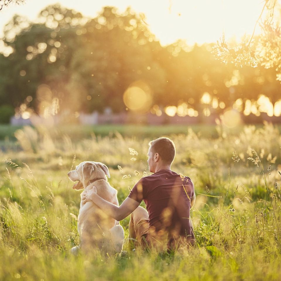 Ein Mann sitzt mit seinem Hund auf einer Wiese bei Sonnenuntergang