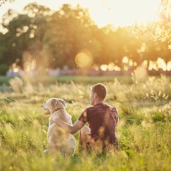 Ein Mann sitzt mit seinem Hund auf einer Wiese bei Sonnenuntergang