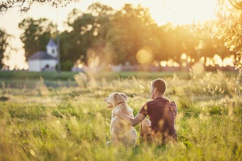 Ein Mann sitzt mit seinem Hund auf einer Wiese bei Sonnenuntergang