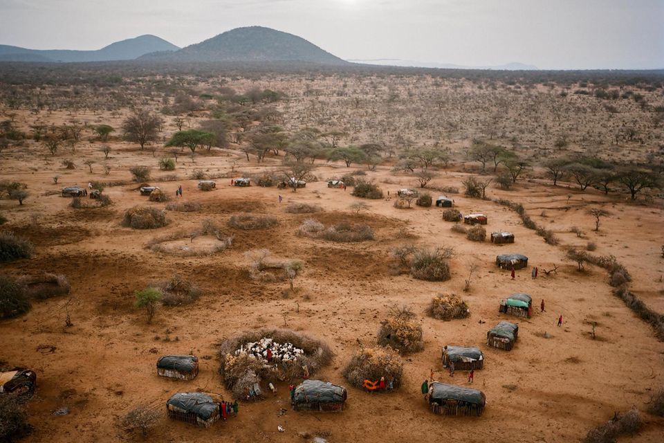 Karge Heimat: Vieh ist der wertvollste Besitz der Samburu. Abends treiben sie die Tiere zum Schutz in die dornenumkränzten Pferche des Dorfes Sasaab. Hier ist Jeneria Lekilelei auf­gewachsen