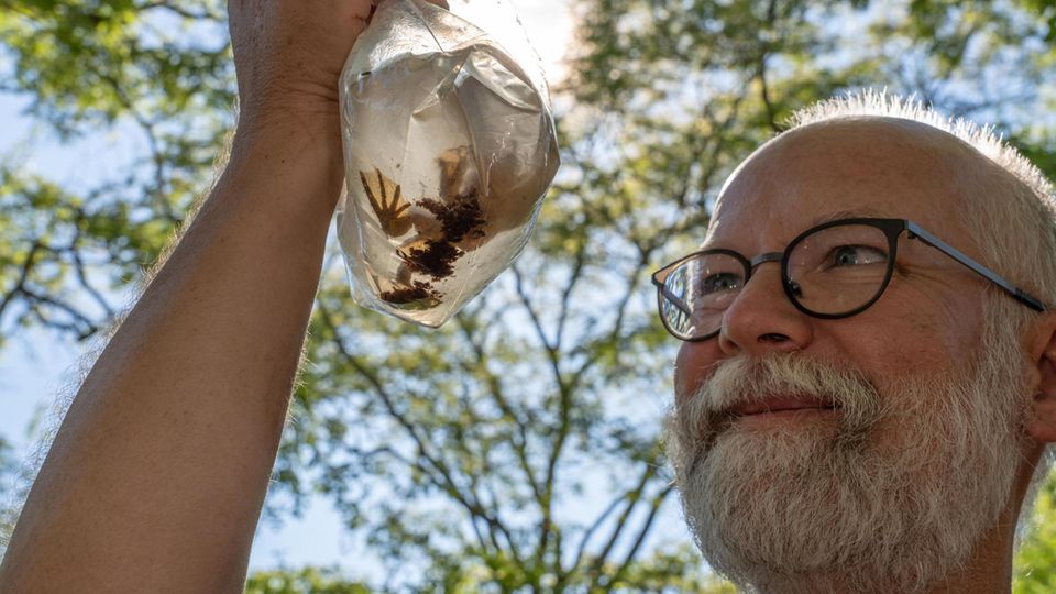 Mark-Oliver Rödel Wer ist mit wem verwandt? Nicht nur bei afrikanischen Krallenfröschen analysiert der deutsche Biologe die Evolution und Verwandtschaftsverhältnisse, ihn interessieren die Amphibien in Zentral- und Westafrika. Nur wer deren Geschichte versteht, glaubt Rödel, kann die Auswirkungen des Klimawandels auf bedrohte Tiere prognostizieren