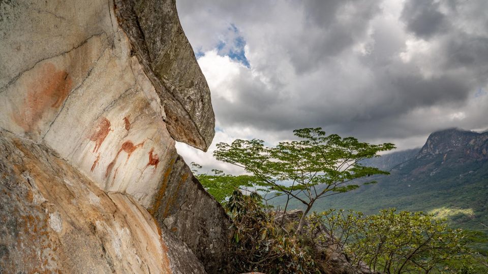 Wandgemälde: Von den Tieren im Chimanimani-Gebirge erzählen auch Malereien aus der Steinzeit. Sie stammen vom Volk der San