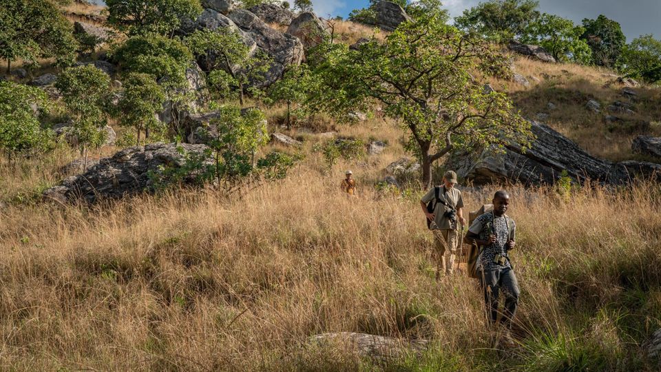 Unsichtbare Gefahr: Das Team fürchtet nicht die Tiere, es fürchtet die Tretminen, die der Bürgerkrieg hinterließ. So müssen die Forscher*innen einige Bergpässe umgehen