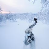 Der Wunsch nach einem  Leben in Einfachheit zog die  Biologin Tinja Myllykangas in die  große weiße Welt Lapplands