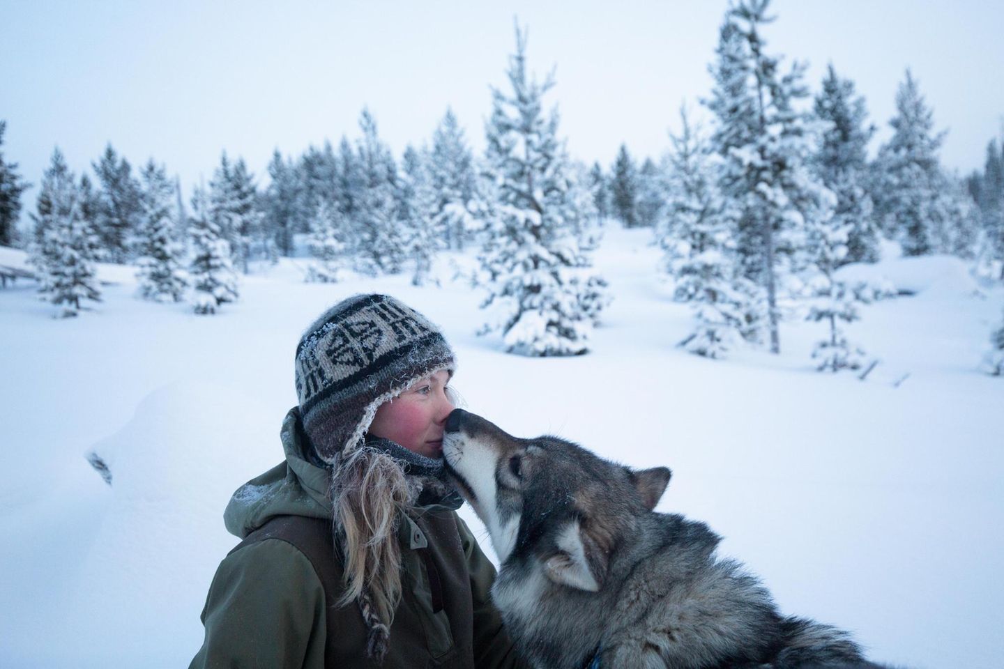 Tinja Myllykangas lebt gut 250 Kilometer nördlich des Polarkreises, mitten in der Einsamkeit, doch nicht allein. Ihr Freund Alex, der Schlittenhunde züchtet, ist bei ihr. Und dann sind da noch ihre eigenen Hunde. Wenn sie von den Tieren spricht, lächeln ihre hellen Augen, und sie schwärmt: "Es sind ­meine besten Freunde. Mit ihnen verfliegen alle Sorgen." Myllykangas hat Biologie studiert, im Süden des Landes, die Stadt aber leichten Herzens verlassen. Sie liebt den Winter oben im Norden, wenn die Temperaturen auf bis zu minus 40 Grad sinken. "Dann zeigt sich die arktische Natur in ihrer ganzen Pracht."