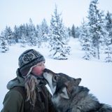Tinja Myllykangas lebt gut 250 Kilometer nördlich des Polarkreises, mitten in der Einsamkeit, doch nicht allein. Ihr Freund Alex, der Schlittenhunde züchtet, ist bei ihr. Und dann sind da noch ihre eigenen Hunde. Wenn sie von den Tieren spricht, lächeln ihre hellen Augen, und sie schwärmt: "Es sind ­meine besten Freunde. Mit ihnen verfliegen alle Sorgen." Myllykangas hat Biologie studiert, im Süden des Landes, die Stadt aber leichten Herzens verlassen. Sie liebt den Winter oben im Norden, wenn die Temperaturen auf bis zu minus 40 Grad sinken. "Dann zeigt sich die arktische Natur in ihrer ganzen Pracht."