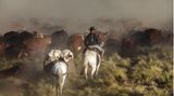 Sky Carrithers ist eine Gaucha, ein argentinisches Cowgirl: Ihre Ranch sieht aus wie die Kulisse eines Wildwestfilms. Geboren wurde sie in den USA, als Tochter einer wohlhabenden Hippiefamilie, die einen Teil des Jahres in Argentinien verbrachte. Mit 30 gab sie ihrer Sehnsucht nach und siedelte ganz über nach Südamerika. Dort züchtet sie Rinder mit ihrem Ehemann, der aus der Gegend stammt. "Wir haben auch Ziegen, Schafe, Hunde, Katzen und 30 Pferde." Unbeschwert ist ihr Dasein nicht. "Wir haben Angst, dass unsere Wasserquellen versiegen. Es wird von Jahr zu Jahr heißer und trockener."  In der Hitze des argentinischen Sommers treibt Sky Carrithers mit ihren Helfern mehr als 600 Rinder auf ein 2000 Meter hoch gelegenes Plateau