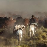 Sky Carrithers ist eine Gaucha, ein argentinisches Cowgirl: Ihre Ranch sieht aus wie die Kulisse eines Wildwestfilms. Geboren wurde sie in den USA, als Tochter einer wohlhabenden Hippiefamilie, die einen Teil des Jahres in Argentinien verbrachte. Mit 30 gab sie ihrer Sehnsucht nach und siedelte ganz über nach Südamerika. Dort züchtet sie Rinder mit ihrem Ehemann, der aus der Gegend stammt. "Wir haben auch Ziegen, Schafe, Hunde, Katzen und 30 Pferde." Unbeschwert ist ihr Dasein nicht. "Wir haben Angst, dass unsere Wasserquellen versiegen. Es wird von Jahr zu Jahr heißer und trockener."  In der Hitze des argentinischen Sommers treibt Sky Carrithers mit ihren Helfern mehr als 600 Rinder auf ein 2000 Meter hoch gelegenes Plateau