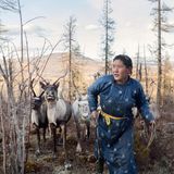 Einst war Zaya Oldov ein amerikanischer Teenager wie Millionen andere auch, mit ihren Eltern besuchte sie im Sommer die Vergnügungsparks. Später studierte sie in Shanghai Interna­tionale Beziehungen, schließlich kehrte sie zurück in ihre ursprüngliche Heimat Mongolei; ein Land, von dem sie kaum mehr kannte als die Hauptstadt Ulan-Bator. Die Arbeit für eine Hilfsorganisation brachte sie mit dem Volk der Tsaatan in Kontakt – und sie schloss sich ihm an. Oldov ging auf in einer ­Gemeinschaft von 130 ­Rentiernomaden und lebt mit ihnen in einem Camp, ­bestehend aus 15 Zelten. Sie hat geheiratet und einen Sohn bekommen. Das ­Leben hier, sagt sie, werde niemals eintönig. "Jahreszeiten vergehen, Babys werden geboren, die Tiere müssen auf neue Weidegründe getrieben und ihre Geweihe geschnitten werden, damit sie sich in Rangkämpfen nicht verletzen." Oldov ist abgetaucht in eine andere Welt, eine vergessene Zeit, in der Schamanen­glaube noch sehr präsent ist, und sie sagt: "Kein Geld der Welt könnte die Werte aufwiegen, die ich hier lebe"