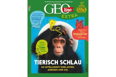 GEOlino Extra Nr. 93 - Tierisch schlau