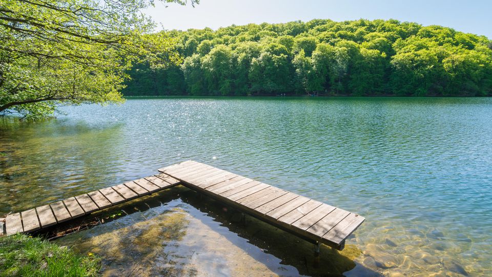 Steg in der Feldberger Seenlandschaft Steg in der Feldberger Seenlandschaft