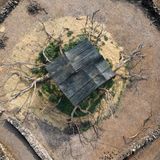 Image Name: Future Studies 6  Photographer Name: Luca Locatelli  Year: 2022  Image Description: <p>The patriarch – that's the name given to this millenary oleaster, a wild olive tree. It's struggling for survival after fires devastated Sardinia, Italy, in July 2021. The extraordinary vitality and resilience of olive trees will allow for many to rebound. This tree is in ‘intensive care’, with a tarp protecting it from heavy winds and rain that could damage it further.</p>  Series Name: Future Studies  Series Description: One of the most characteristic symptoms of the time in which we live is the growing sense of loss of a better future, of a hypothetical tomorrow perceived as something promising and yet unknown. If we’re going to re-establish a healthy relationship with the plane, it is imperative to reflect on our attitude toward the future. In the 21st century we need to learn how to use our knowledge in a more sustainable way, find new ways to live on our planet and confront today’s critical environmental issues. Future Studies is an ongoing piece of research spanning more than ten years, aimed at triggering the viewer to join the critical debate on our precarious balance on Earth, and hopefully contribute to restoring hope for the future of mankind.